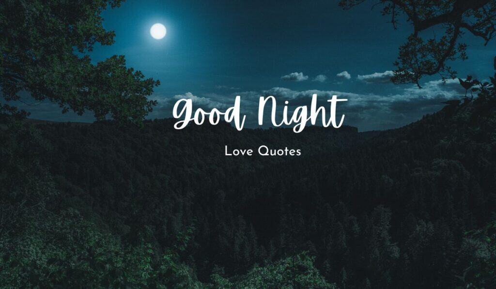 Good Night Love Quotes