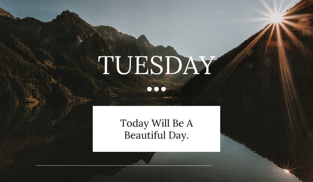 Happy Tuesday Quotes