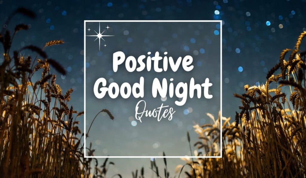 Positive Good Night Quotes