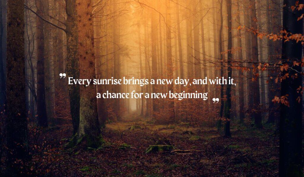 Positive Quotes for Wednesday