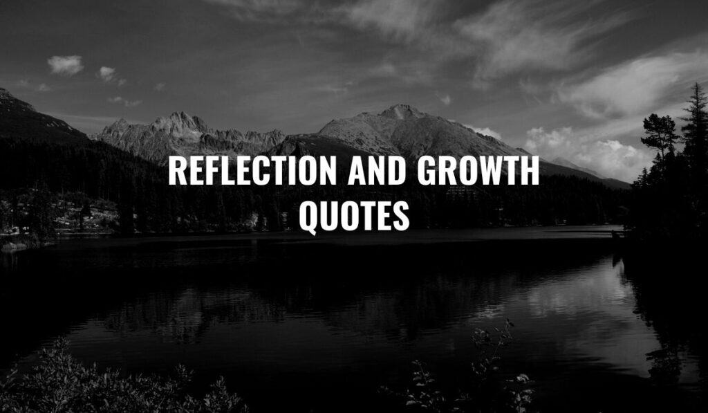 Reflection and Growth Quotes