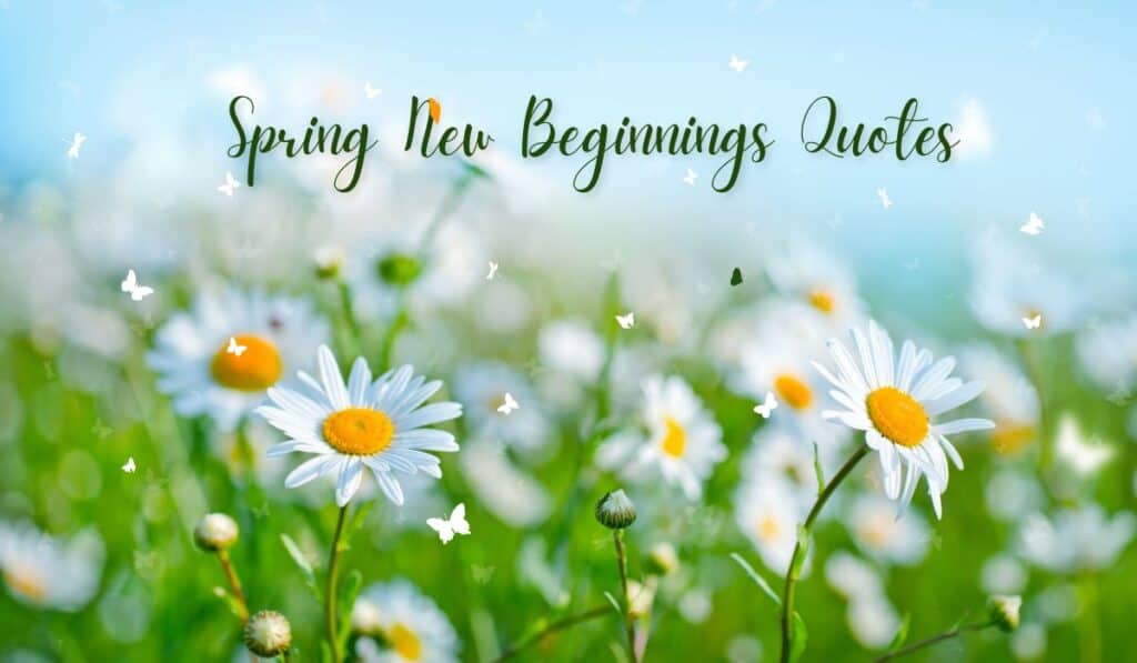 Spring New Beginnings Quotes 