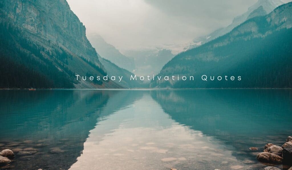 Tuesday Motivation Quotes