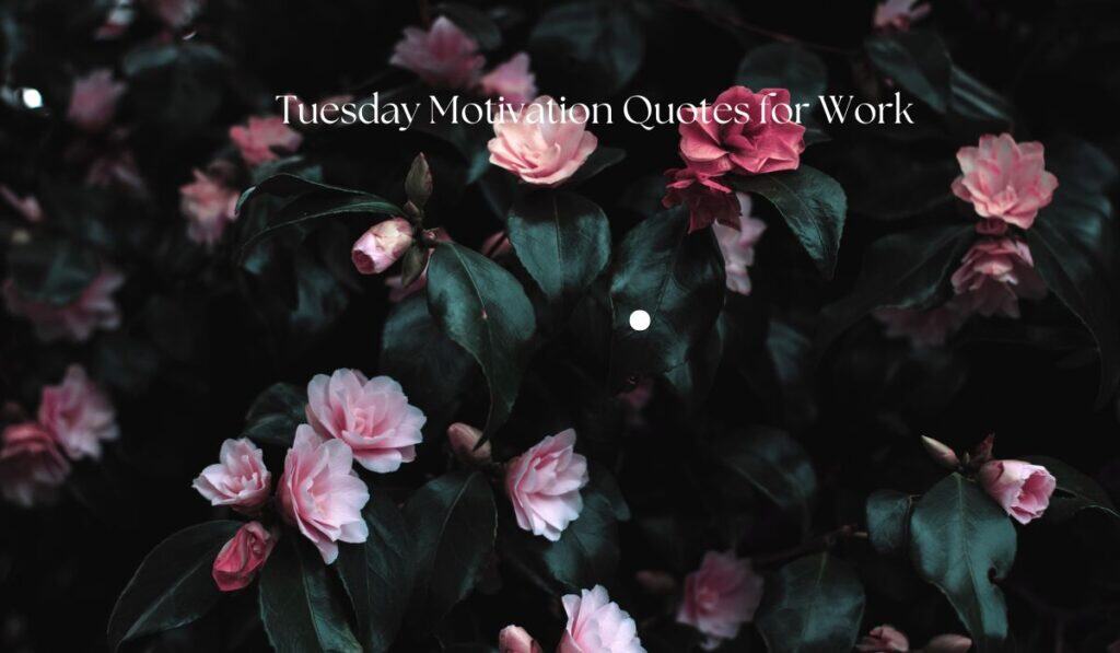 Tuesday Motivation Quotes for Work