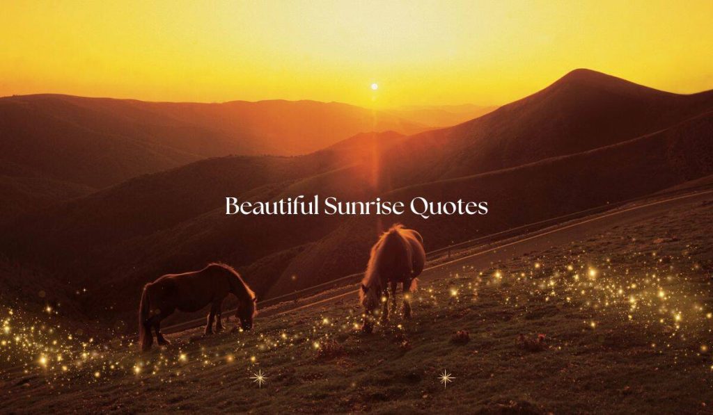 Beautiful Sunrise Quotes