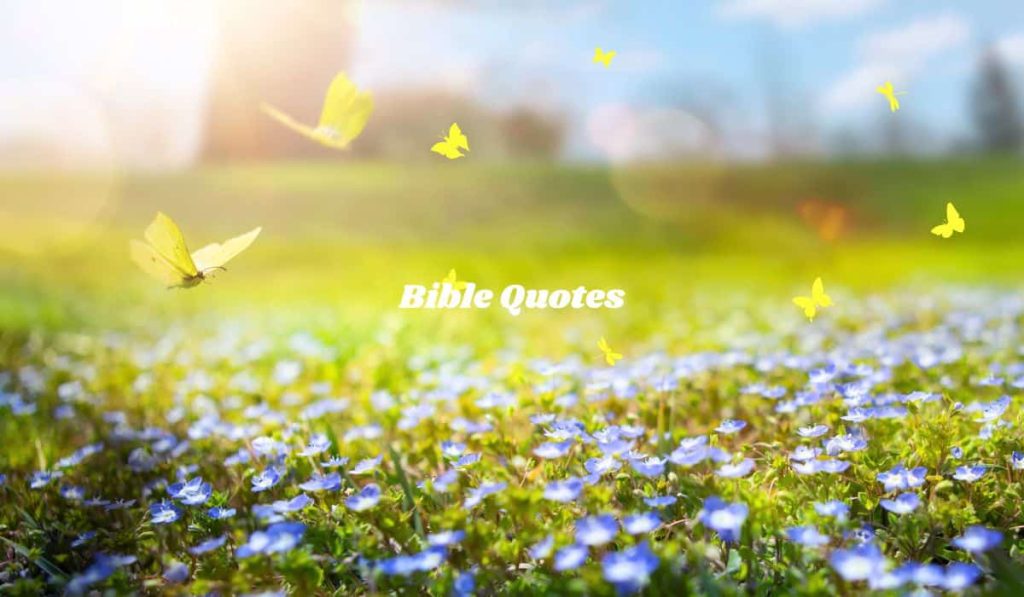 Biblical Quotes on New Beginnings - Bible Quotes About New Beginnings