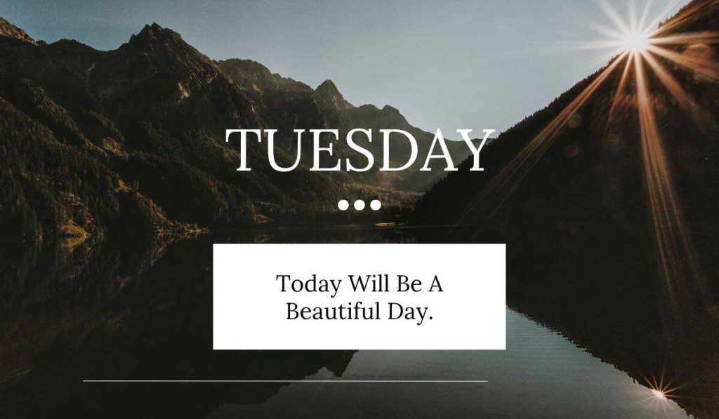 Happy Tuesday Quotes
