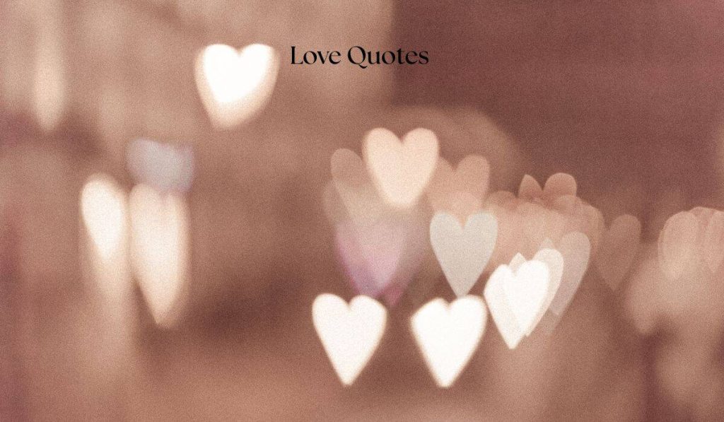 Love Quotes New Beginnings