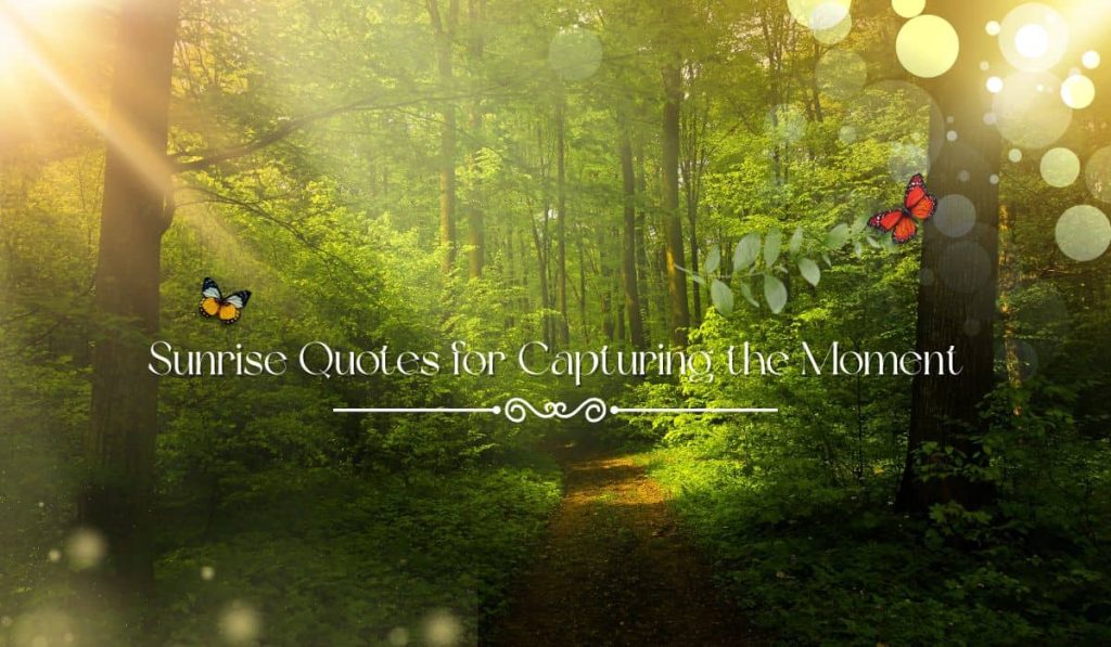 Sunrise Quotes for Capturing the Moment