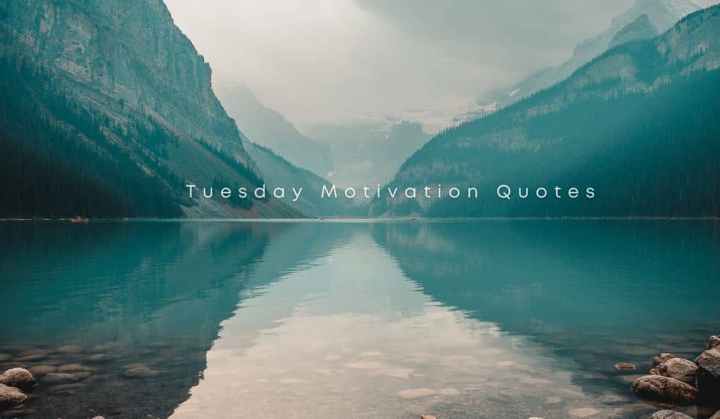 Tuesday Motivation Quotes